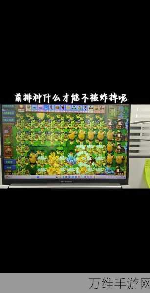 植物大战僵尸亚马逊版,独特放置塔防玩法全解析