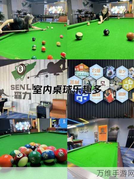 Master of Pool，畅享美式 8 球桌球的休闲盛宴