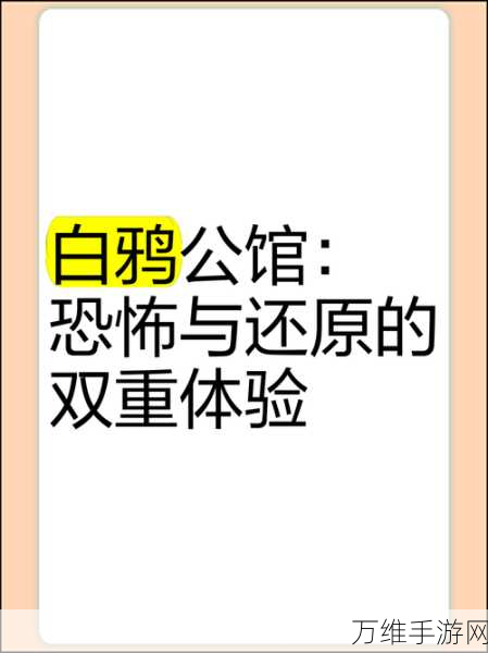 揭秘一代沙雕诡异试衣间高分攻略，解锁时尚与惊悚的双重体验