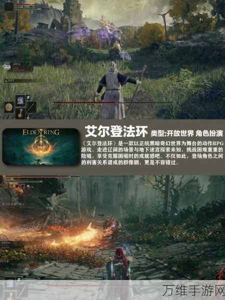 Monduz City Guardian，上帝视角的即时战略 RPG 巅峰对决