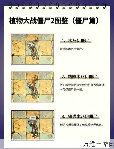 植物大战僵尸高手揭秘,挑战模式第76关通关秘籍大公开!