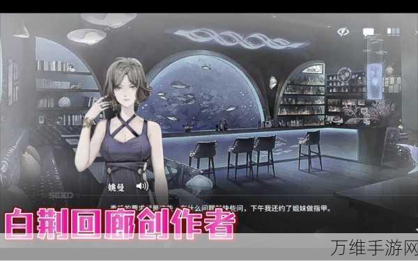 白荆回廊,新手入门全攻略,解锁策略战斗新境界