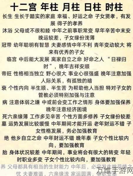 挺秃然的觅长生挑战，全面解析长生攻略秘籍