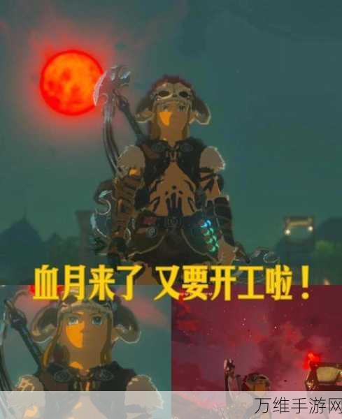 王国之泪深度攻略,揭秘左纳乌能源结晶的高效获取之道