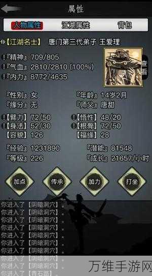 放置江湖零转传承全攻略,解锁武学新境界的秘籍