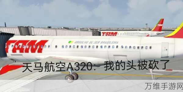极限着陆免费版,圆你飞行员之梦的全真模拟驾驶手游攻略