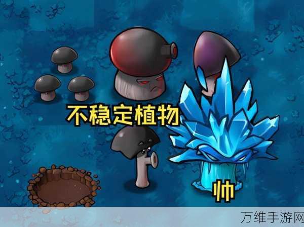 植物大战僵尸融合版，揭秘冒险模式第十二关通关秘籍