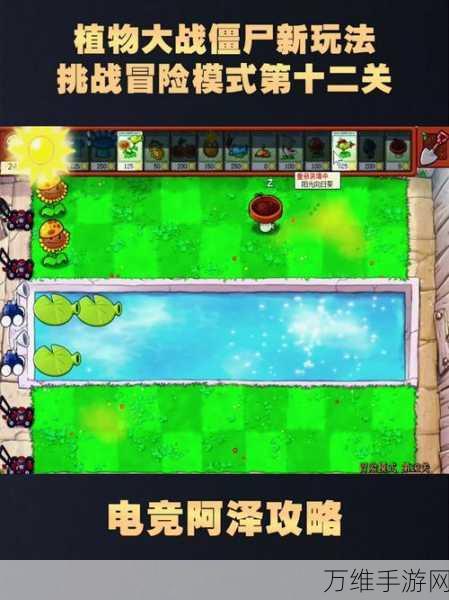 植物大战僵尸融合版，揭秘冒险模式第十二关通关秘籍