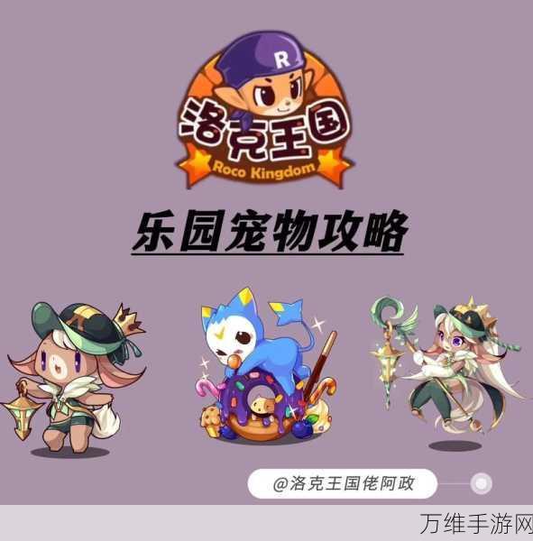 洛克王国珍稀宠物贝瑟,全面解锁获取攻略