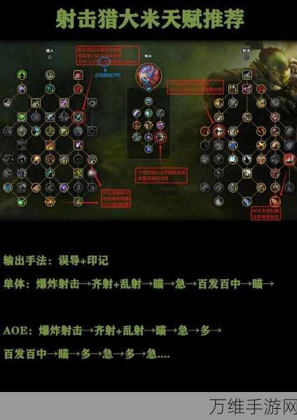 王者猎人新手必看,前期高效避坑策略与实战技巧