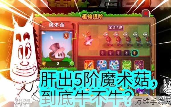 植物大战僵尸2魔术菇怎么样