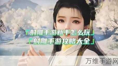 射雕手游，解锁银河坠天成就全攻略，助你称霸江湖！