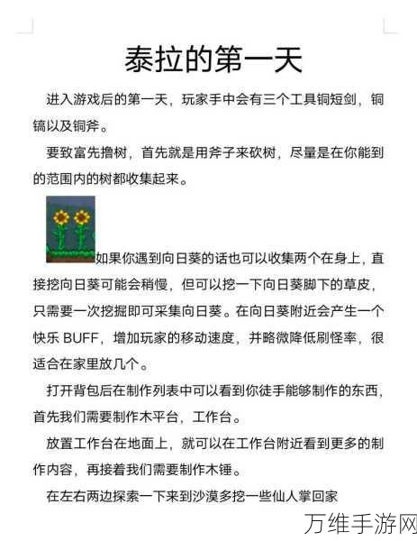 泰拉瑞亚探险必备，深度计制作攻略与实战应用详解