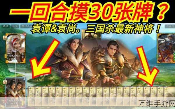 三国杀OL深度攻略,袁谭袁尚双雄并起,策略制胜之道