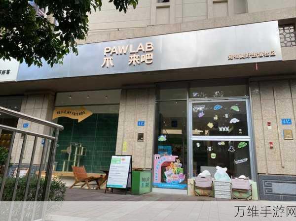 小美宠物店，打造梦想经营之旅