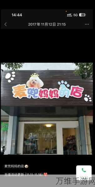 小美宠物店，打造梦想经营之旅