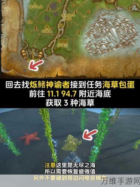 魔兽世界稀有宠物深紫，获取攻略与珍藏细节揭秘