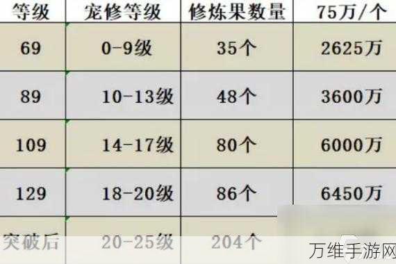 梦幻西游攻略，揭秘神龙宝宝属性与技能提升秘籍