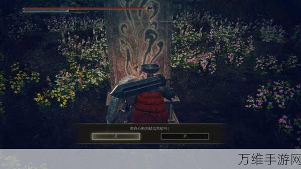 艾尔登法环DLC，揭秘光明剑与黑暗剑的终极获取攻略