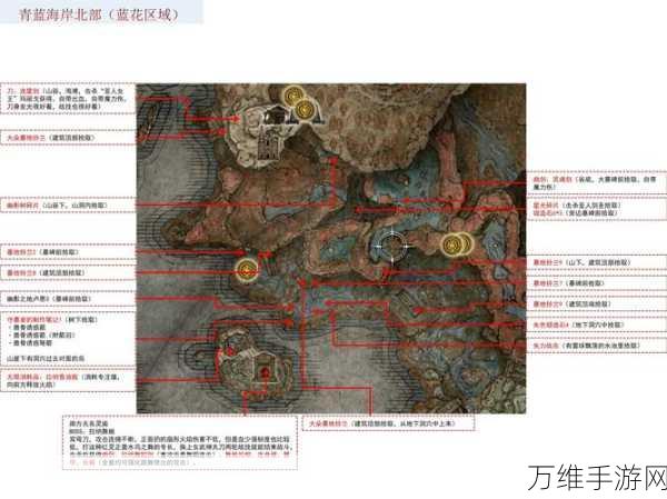 艾尔登法环探险指南，揭秘开局地图与最佳起点策略