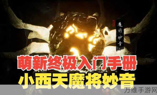 魔魔星纪，萌新前期制胜秘籍与实战技巧大揭秘