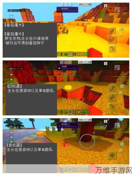 我的世界音乐新玩法，唱片机制作与音乐创作大赛全攻略