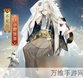 阴阳师不见岳庆典之夜，绝美皮肤震撼登场，庆典活动精彩纷呈！