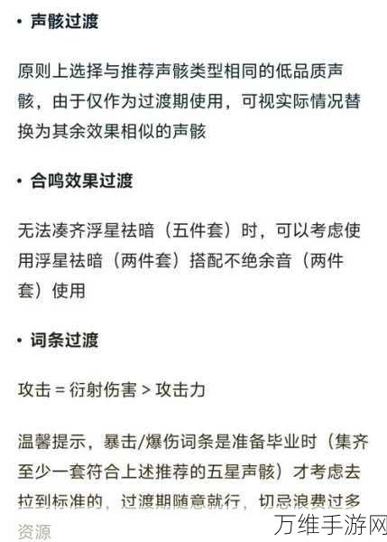 鸣潮漂泊者小助手全面指南，精准定位与功能详解