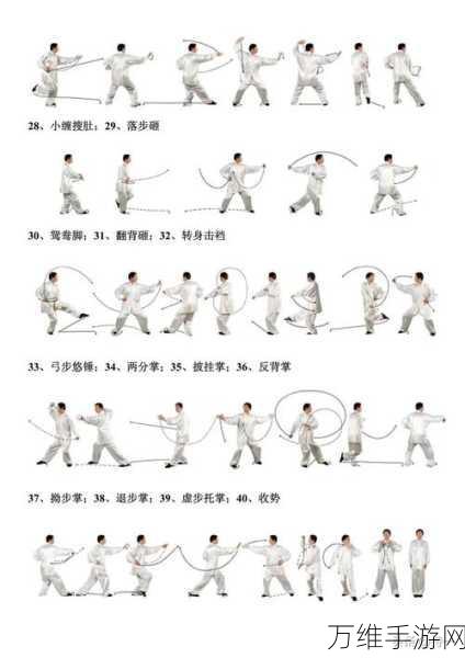 武林绝学，揭秘外攻连击流派的终极武学搭配与实战攻略