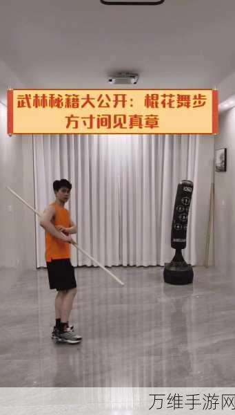 武林绝学，揭秘外攻连击流派的终极武学搭配与实战攻略