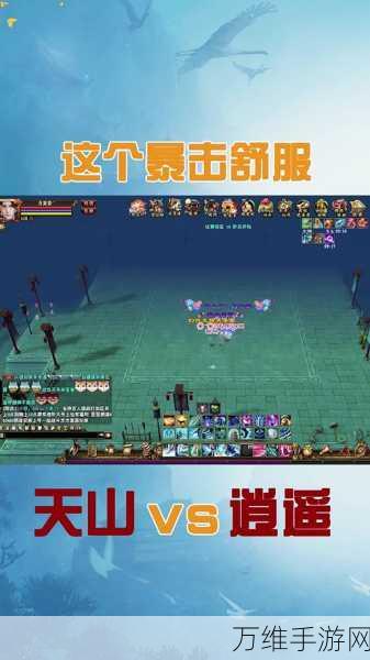 墨剑江湖绝学揭秘,天山三刀流顶级搭配攻略
