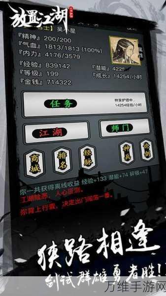 放置江湖,全面攻略,解锁你的极致防护力!