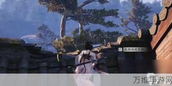 探秘燕云十六声,忠孝传家花钱位置全攻略