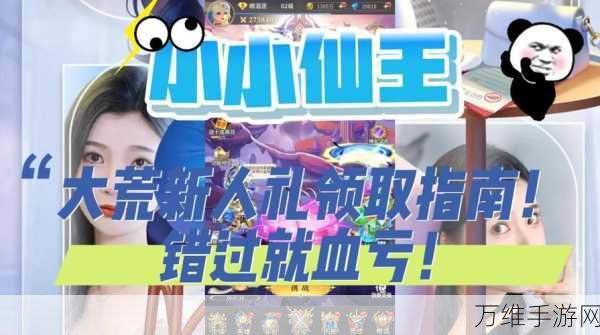仙王争霸,揭秘小小仙王无上剑域玩法全攻略