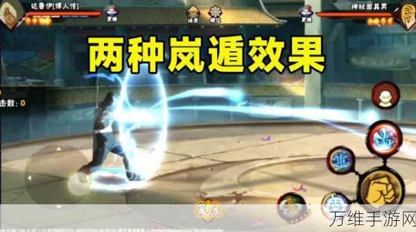 火影忍者手游,达鲁伊角色深度解析与实战攻略