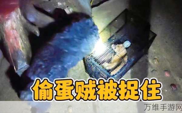 刺激无限!偷鸡蛋的贼安卓版,全新模拟冒险等你来