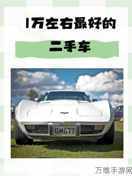 路边估车王,趣味休闲经营之旅等你来开启
