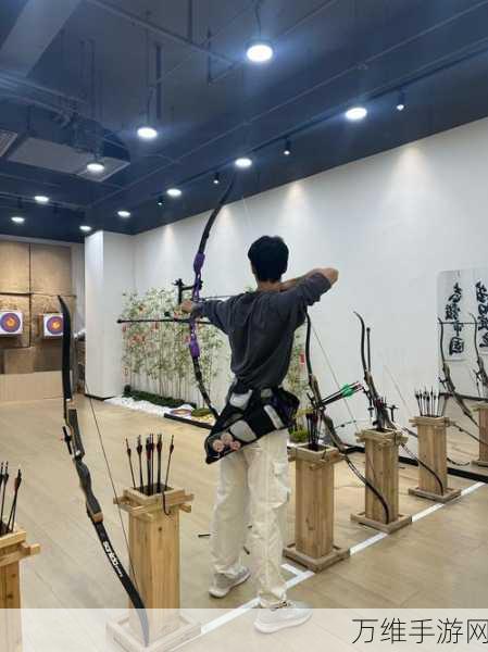 最强射箭达人,畅享刺激休闲对战之旅