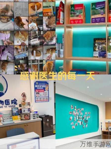 王牌医生全新版,打造梦幻医院的经营之旅