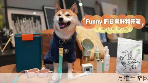 恐怖密室解谜之旅,肌肉柴犬内置菜单零广告