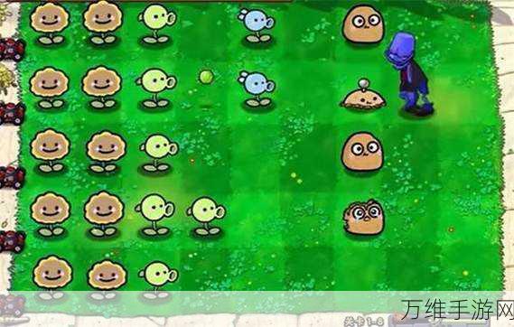 植物大战僵尸幼儿园版安卓震撼登场!策略塔防新体验