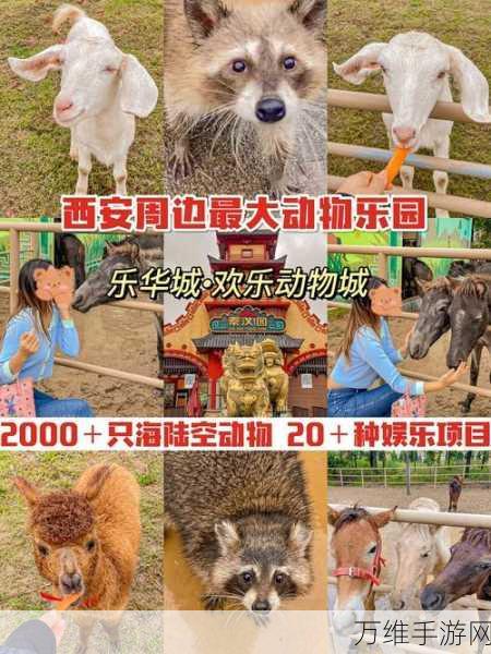 发家致富新秘诀，畅玩养动物经营模拟手游