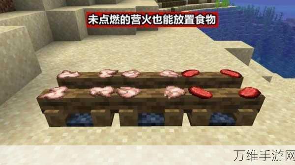 我的世界深度探索,营火的16大奇趣秘密,揭秘火焰附加锹的灭火之谜