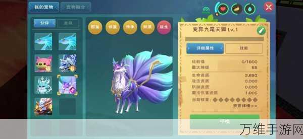 探秘创造与魔法，解锁奇幻坐骑全攻略