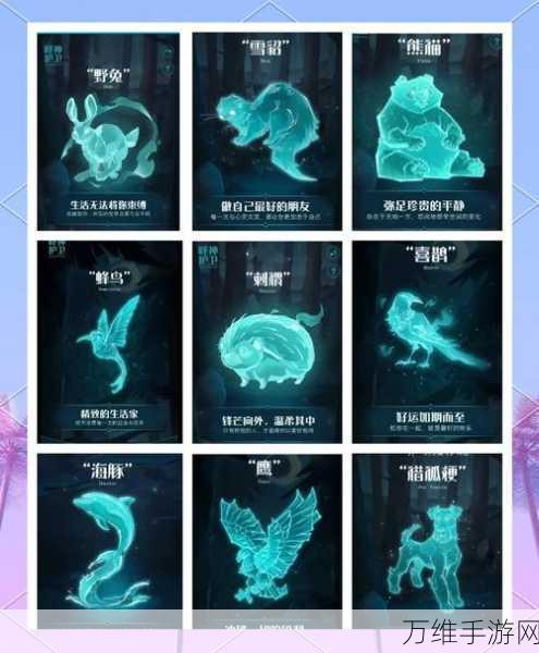 艾尔登法环信仰战士终极之选,哪款盾牌能成为你的守护神祇?