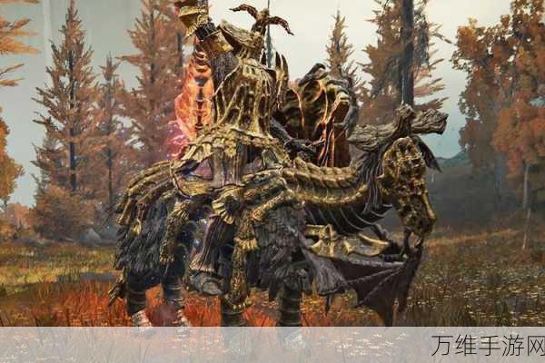 艾尔登法环珍稀装备揭秘,大树筒形外衣获取全攻略