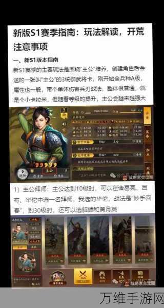 三国志战略版，武将满级后的策略突破与竞技指南