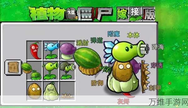 植物大战僵尸嫁接版幕后创作者揭秘，创意与技术的完美融合