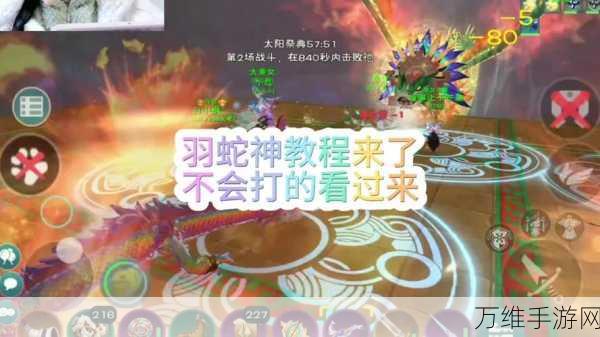 梦幻坐骑争霸赛，陆行鸟与红马决战创造与魔法之巅