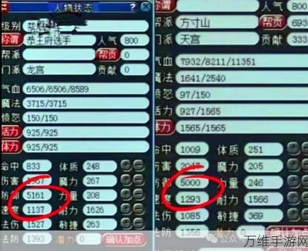 梦幻西游无双版，红宝石龙宫装备效用深度解析